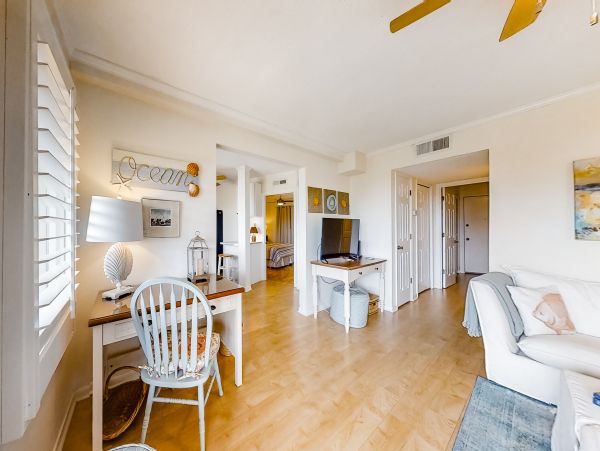 Hilton Head Condo 1008817