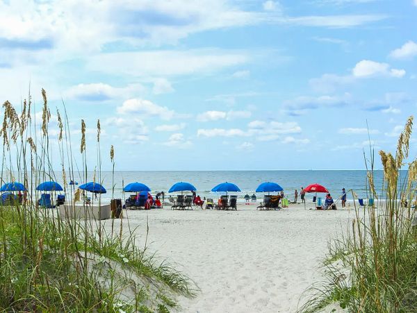 Hilton Head Condo 1008817