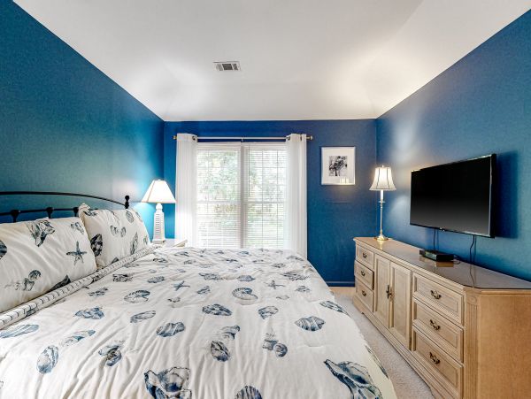Hilton Head Condo 1008825
