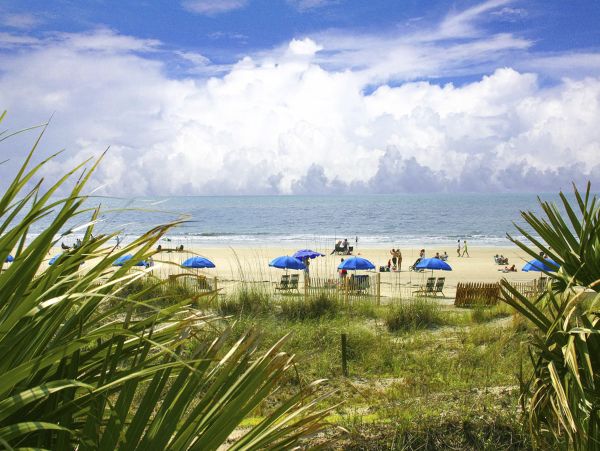 Hilton Head Condo 1008825