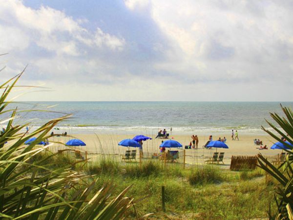 Hilton Head Condo 1008825