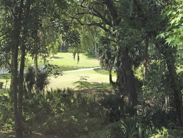 Hilton Head Condo 1008825