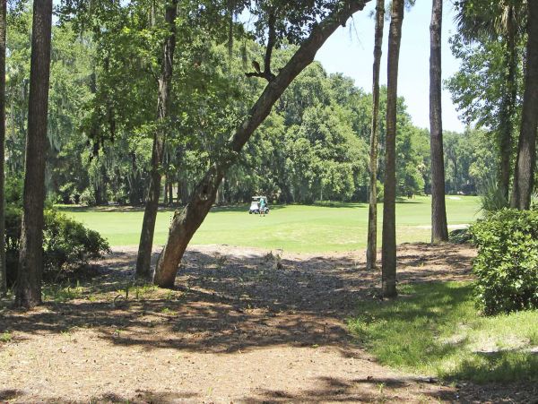 Hilton Head Condo 1008825
