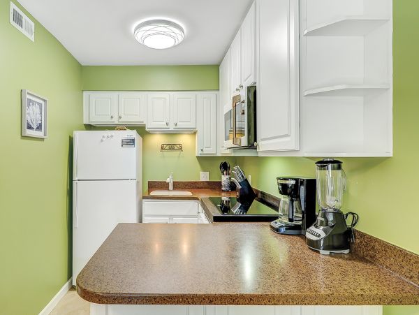 Hilton Head Condo 1008828