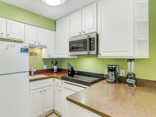 Hilton Head Condo 1008828
