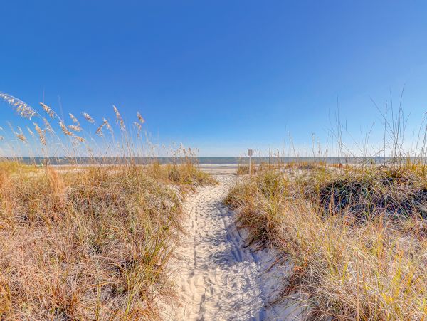 Hilton Head Condo 1008828