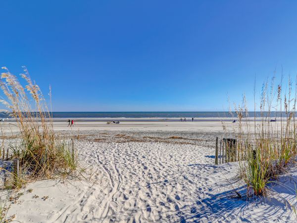 Hilton Head Condo 1008828
