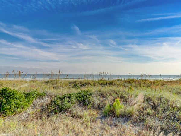 Hilton Head Condo 1008828