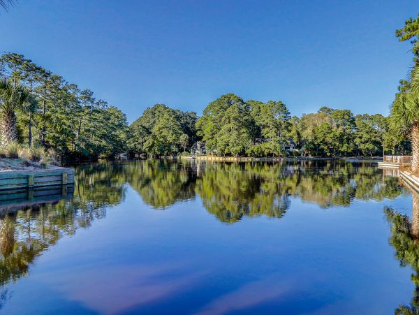 Hilton Head Condo 1008833