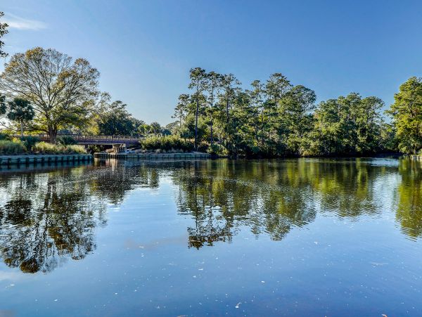 Hilton Head Condo 1008833