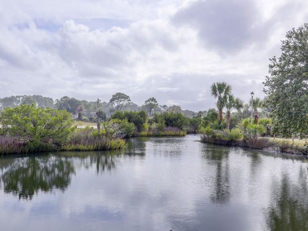 Hilton Head Condo 1008835