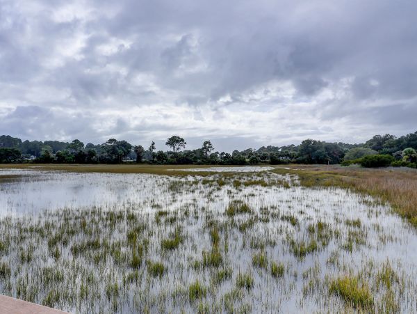 Hilton Head Condo 1008835