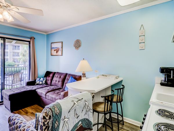 Hilton Head Condo 1008837