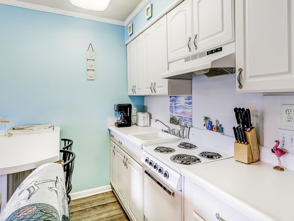 Hilton Head Condo 1008837