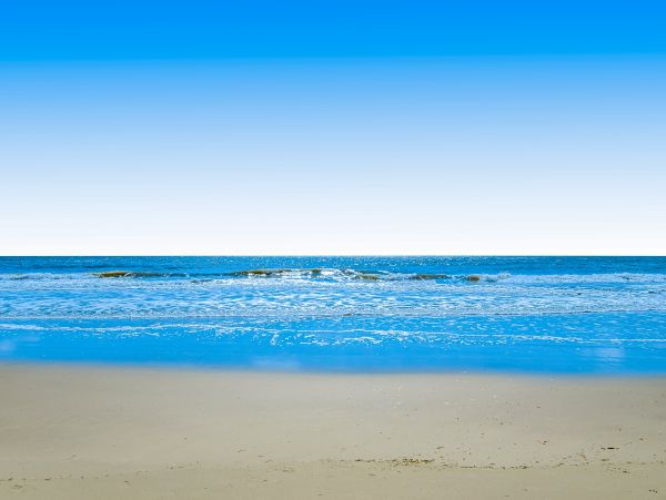 Hilton Head Condo 1008837