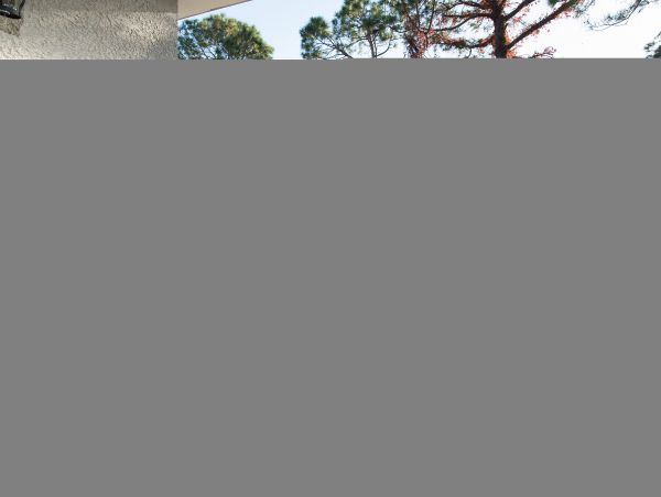 Hilton Head Condo 1008839
