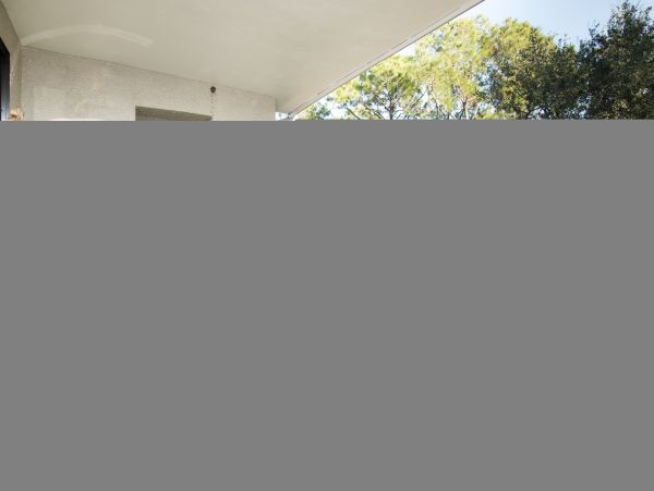 Hilton Head Condo 1008839