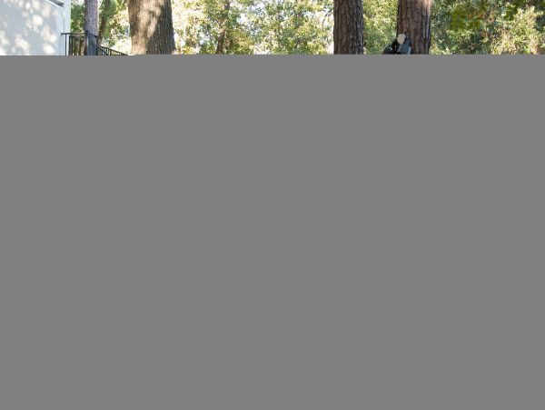 Hilton Head Condo 1008839