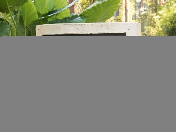 Hilton Head Condo 1008839