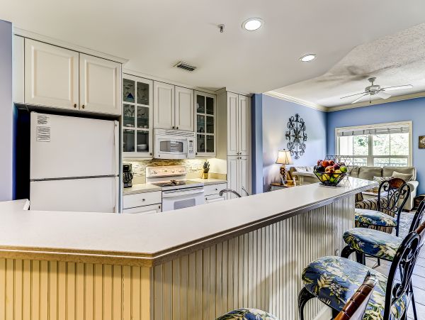Hilton Head Condo 1008845