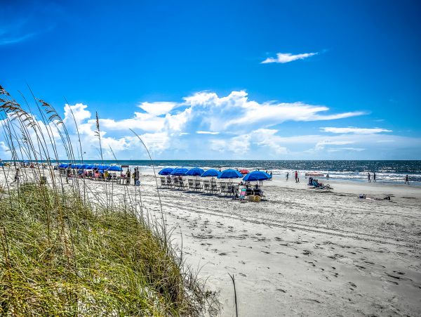 Hilton Head Vacation Rental Lovely