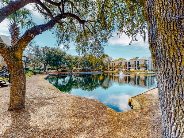 Hilton Head Condo 1008851