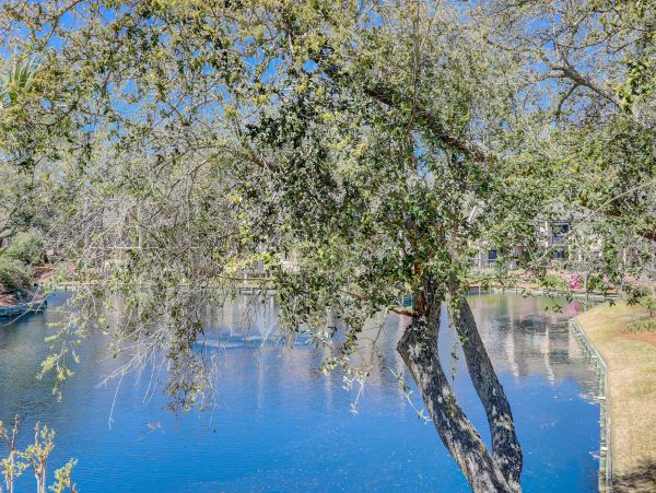 Hilton Head Condo 1008851