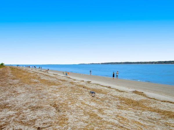 Hilton Head Condo 1008856