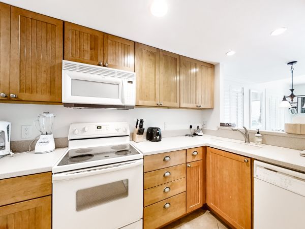 Hilton Head Condo 1008858