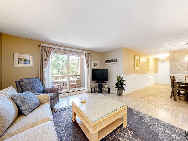 Hilton Head Condo 1008867