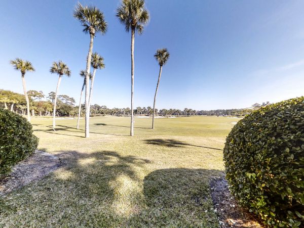 Hilton Head Condo 1008871