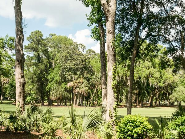 Hilton Head Condo 1008871
