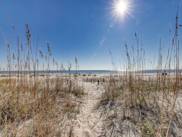 Hilton Head Condo 1008876
