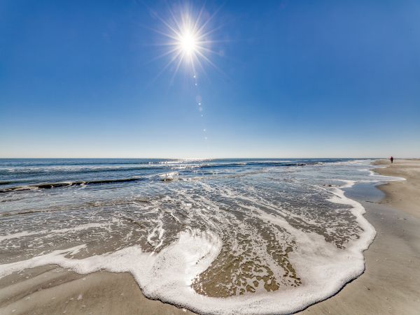Hilton Head Condo 1008876