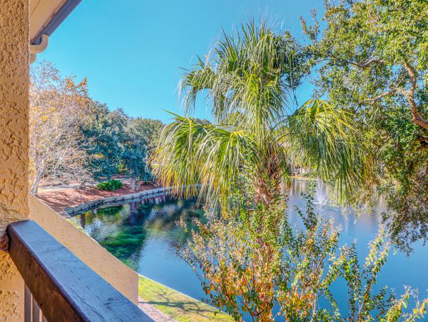 Hilton Head Condo 1008884