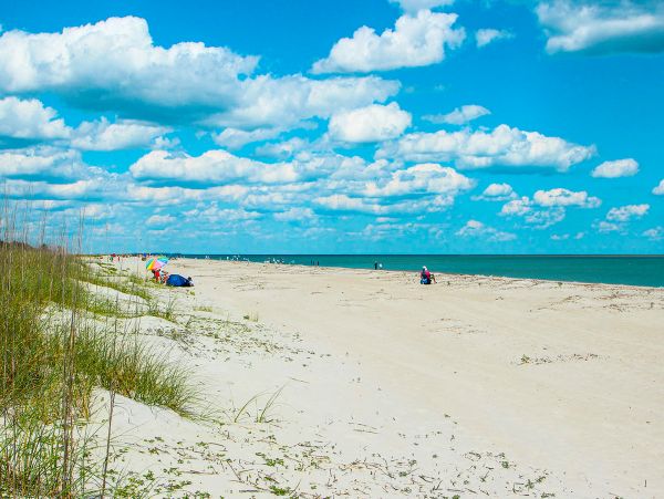 Hilton Head Condo 1008884