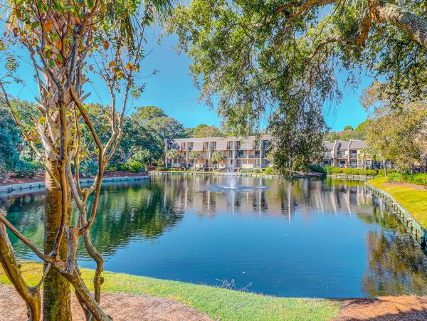 Hilton Head Condo 1008884