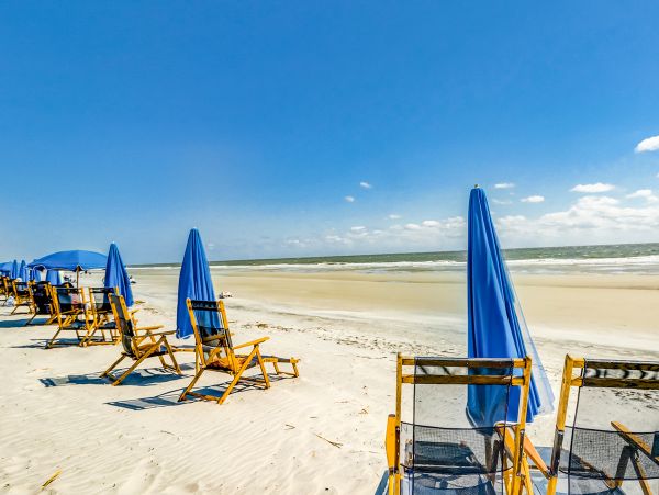 Hilton Head Condo 1008887