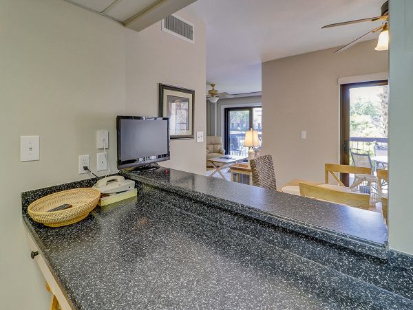 Hilton Head Condo 1008888