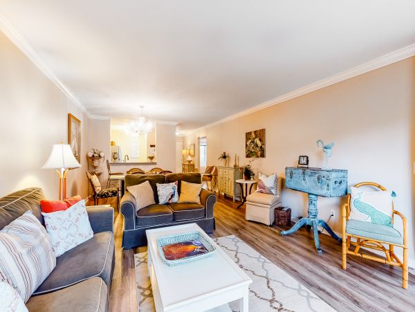Hilton Head Condo 1008889
