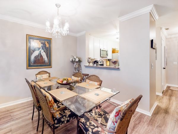 Hilton Head Condo 1008889