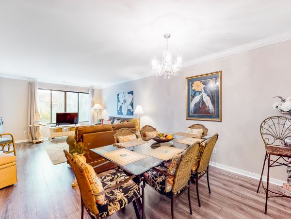 Hilton Head Condo 1008889