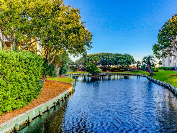 Hilton Head Condo 1008892
