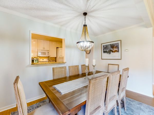 Hilton Head Condo 1008894