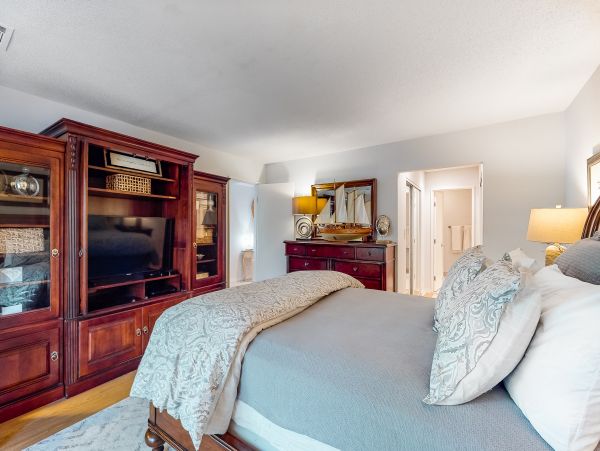 Hilton Head Condo 1008894