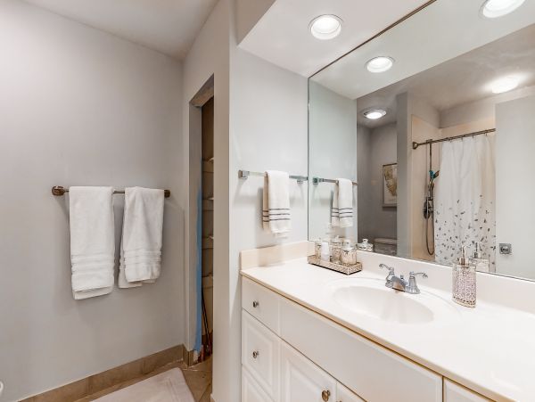 Hilton Head Condo 1008894