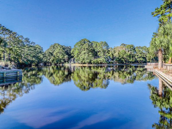 Hilton Head Condo 1008894