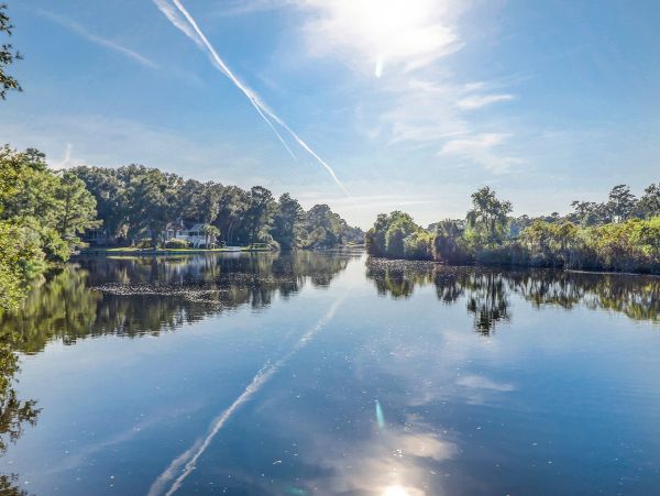 Hilton Head Condo 1008894