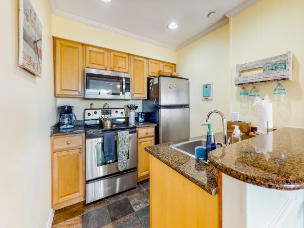 Hilton Head Condo 1008895