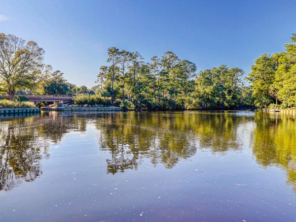 Hilton Head Condo 1008896